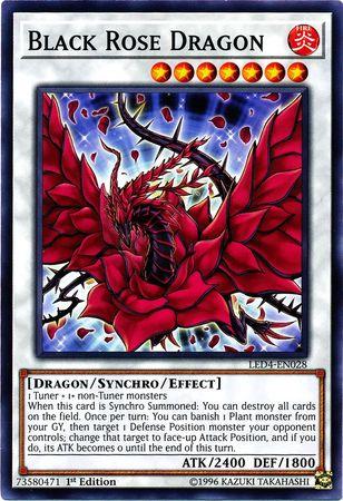 Black Rose Dragon LED4-EN028