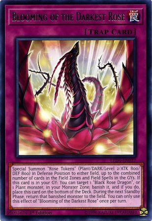 Blooming of the Darkest Rose LED4-EN027