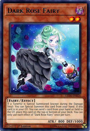 Dark Rose Fairy LED4-EN024