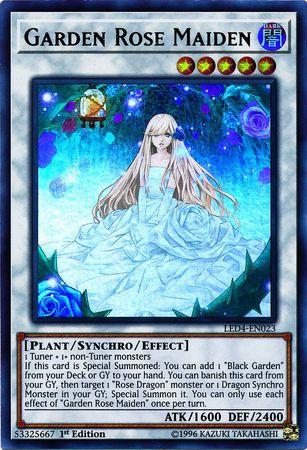Garden Rose Maiden LED4-EN023