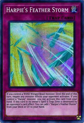 Harpie's Feather Storm LED4-EN000