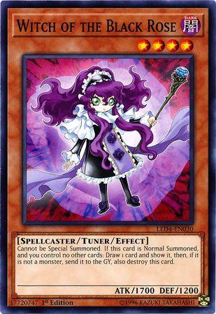 Witch of the Black Rose LED4-EN030
