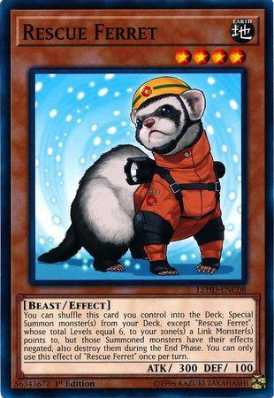 Rescue Ferret LEHD-ENC08