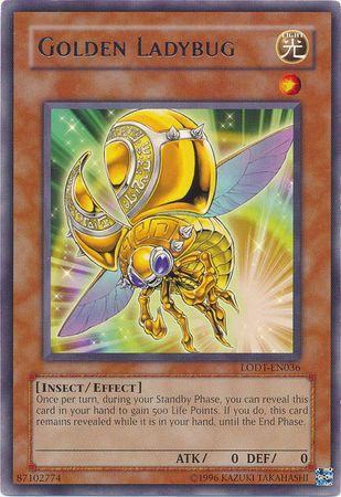 Golden Ladybug LODT-EN036