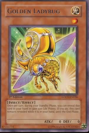 Golden Ladybug [1st Edition] LODT-EN036