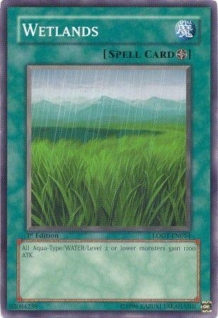 Wetlands [1st Edition] LODT-EN054