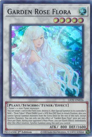 Garden Rose Flora [1st Edition] LIOV-EN036