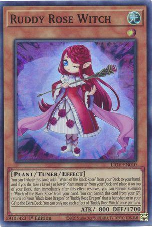 Ruddy Rose Witch [1st Edition] LIOV-EN010