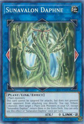 Sunavalon Daphne [1st Edition] LIOV-EN097