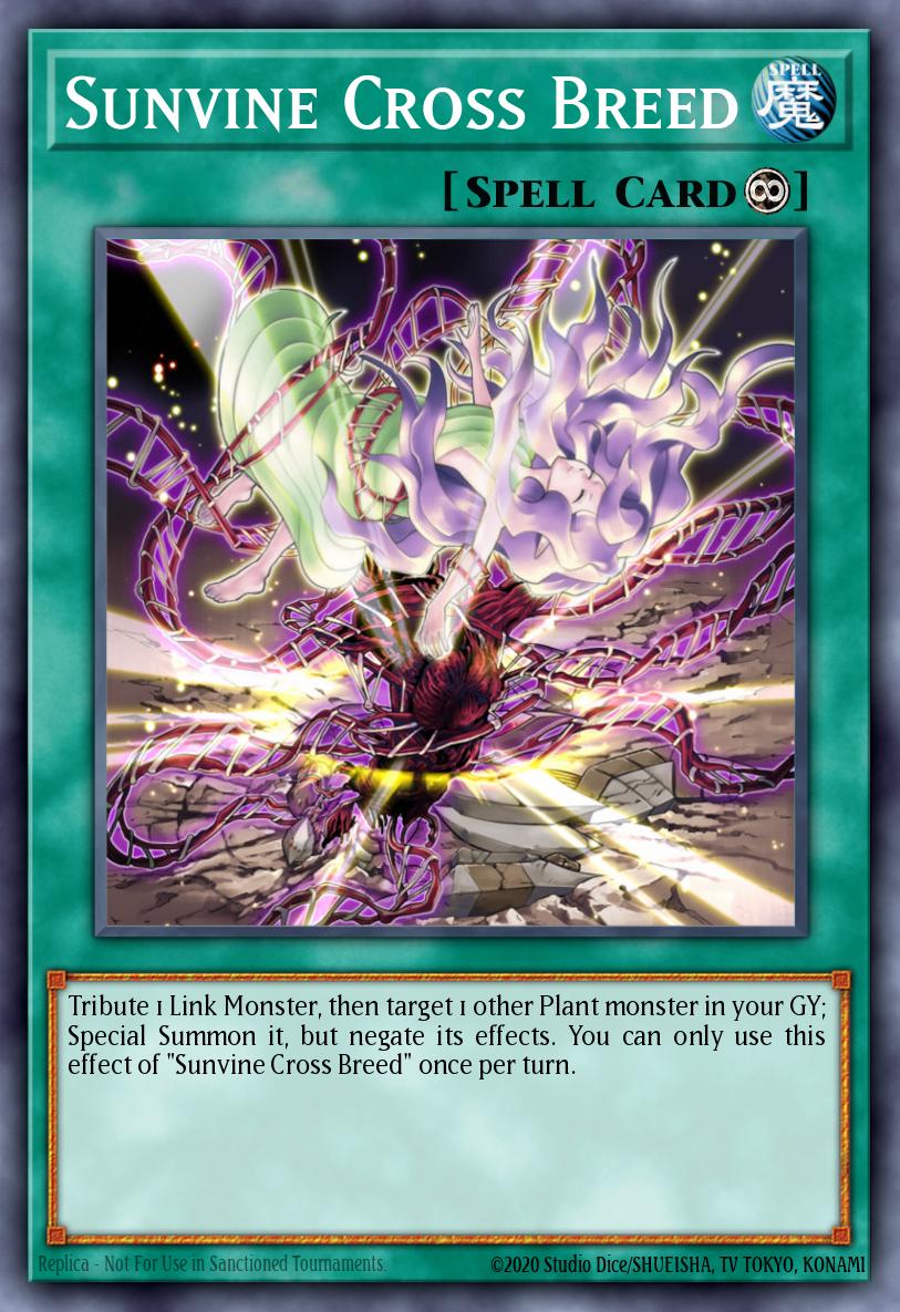 Sunvine Cross Breed [1st Edition] LIOV-EN099