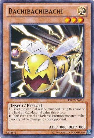 Bachibachibachi LTGY-EN001