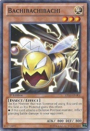 Bachibachibachi [1st Edition] LTGY-EN001