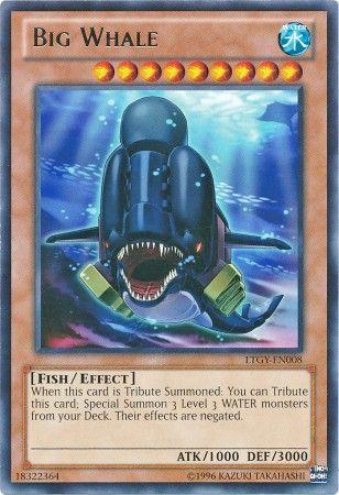 Big Whale LTGY-EN008