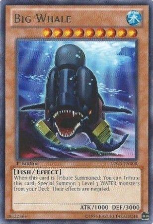 Big Whale [1st Edition] LTGY-EN008