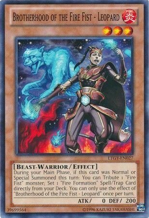 Brotherhood of the Fire Fist - Leopard LTGY-EN027