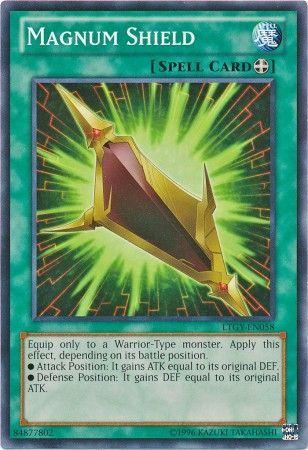Magnum Shield LTGY-EN058