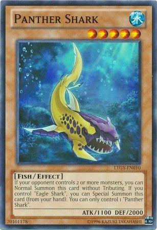 Panther Shark LTGY-EN010