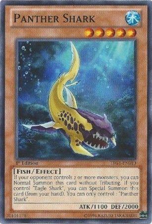 Panther Shark [1st Edition] LTGY-EN010