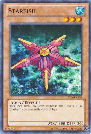 Starfish LTGY-EN009