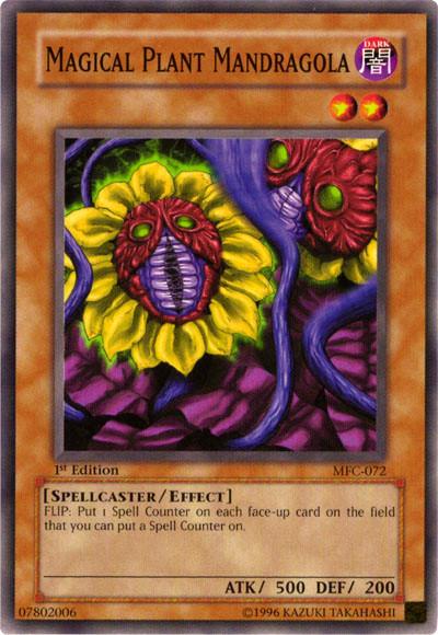 Magical Plant Mandragola [1st Edition] MFC-072