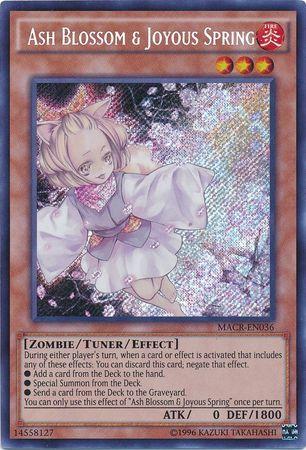Ash Blossom & Joyous Spring MACR-EN036
