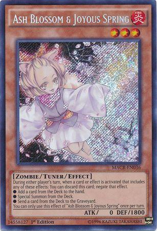 Ash Blossom & Joyous Spring [1st Edition] MACR-EN036