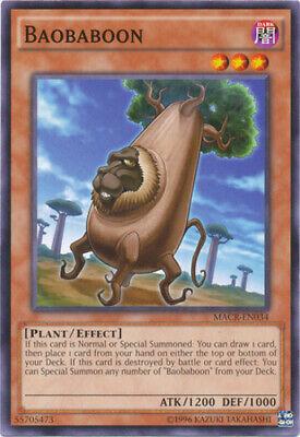 Baobaboon MACR-EN034
