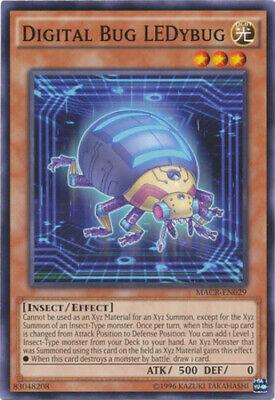 Digital Bug LEDybug MACR-EN029