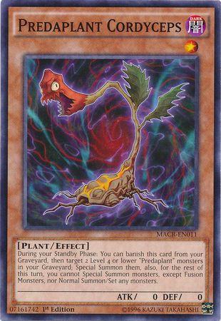 Predaplant Cordyceps [1st Edition] MACR-EN011