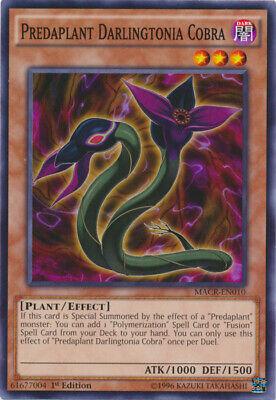 Predaplant Darlingtonia Cobra [1st Edition] MACR-EN010