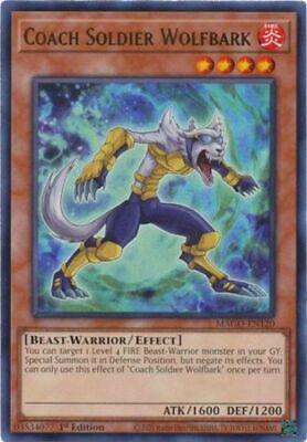 Coach Soldier Wolfbark MAGO-EN120