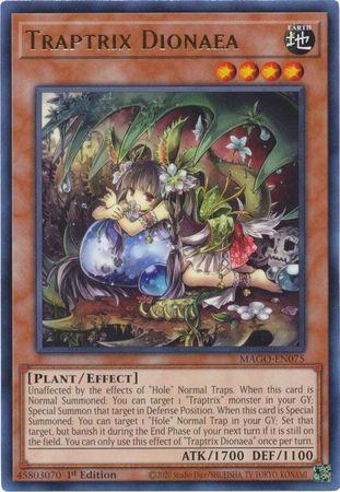 Traptrix Dionaea MAGO-EN075