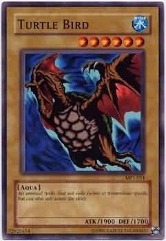 Turtle Bird MP1-014
