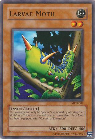 Larvae Moth MRD-007