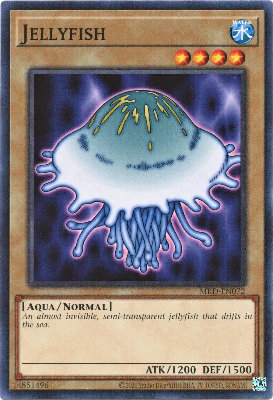 Jellyfish MRD-EN072