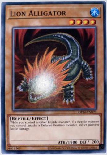 Lion Alligator OP16-EN022