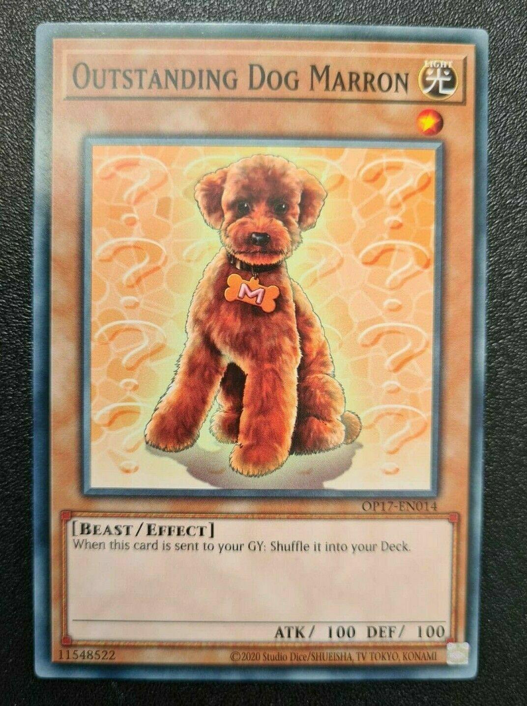 Outstanding Dog Marron OP17-EN014