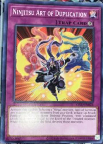 Ninjitsu Art of Duplication OP20-EN023