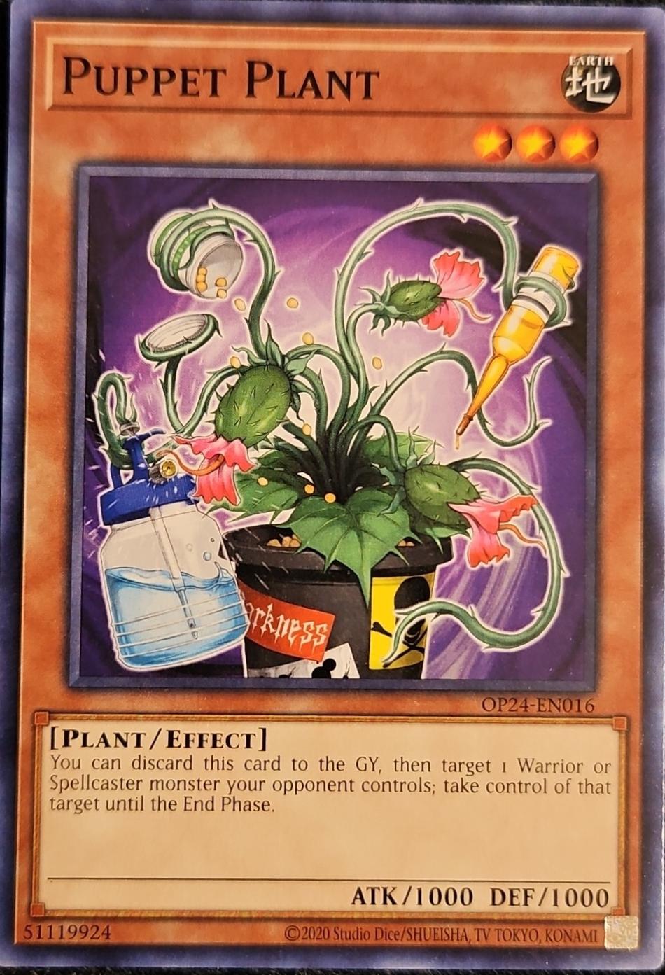 Puppet Plant OP24-EN016