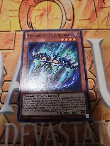 Raidraptor - Tribute Lanius OP24-EN018