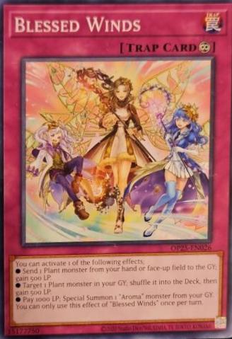Blessed Winds OP25-EN026