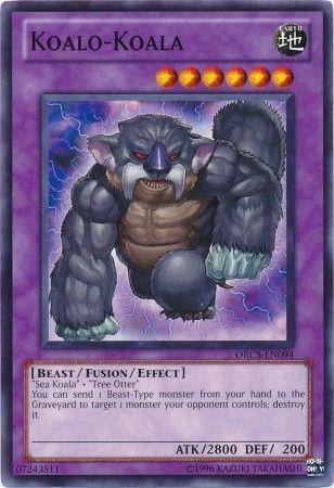 Koalo-Koala ORCS-EN094