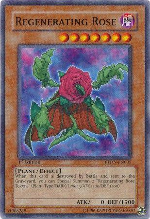 Regenerating Rose [1st Edition] PTDN-EN005