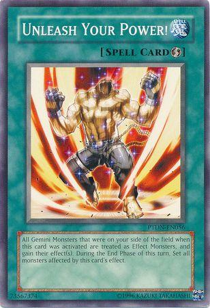 Unleash Your Power! PTDN-EN056