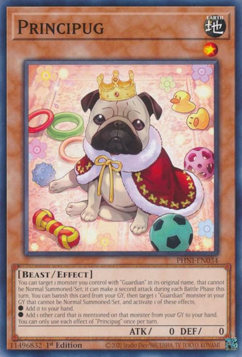Principug PHNI-EN034