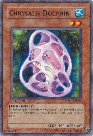 Chrysalis Dolphin [1st Edition] POTD-EN006