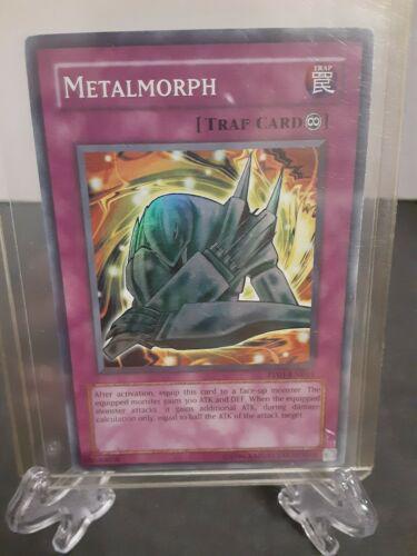 Metalmorph PP01-EN014