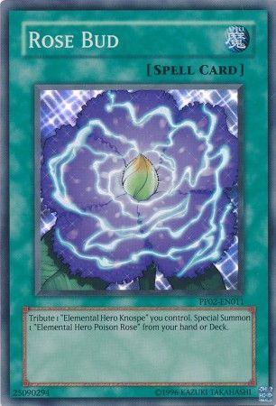 Rose Bud PP02-EN011