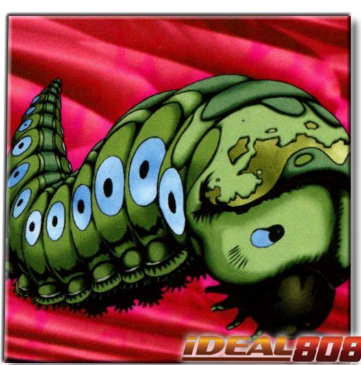Petit Moth RA04-EN111
