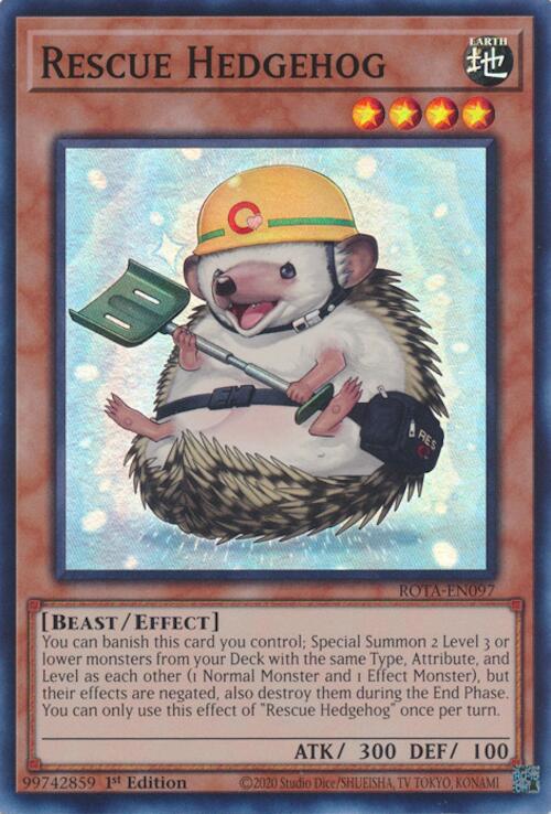 Rescue Hedgehog ROTA-EN097
